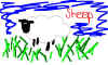 Sheep.jpg (84280 bytes)
